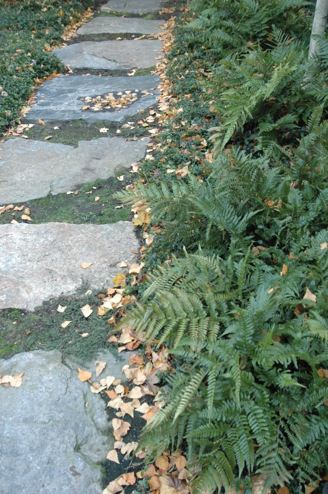 Slocum Rd. by Timothy Lee Landscape Design - Photo 7