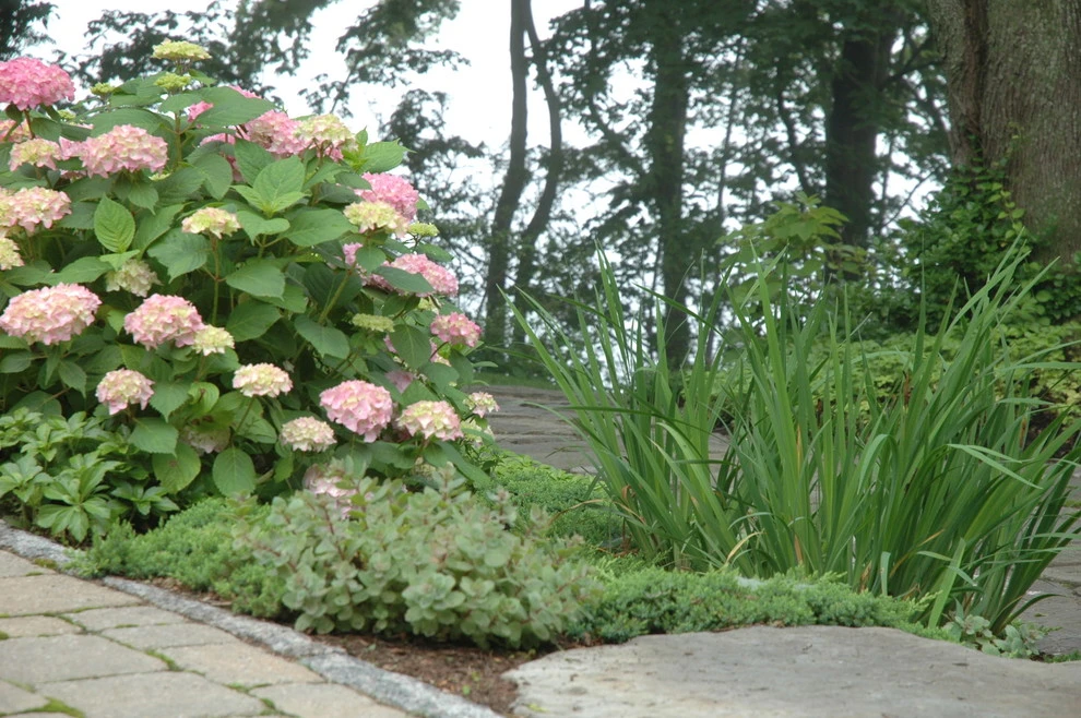 Summer Retreat by Timothy Lee Landscape Design - Photo 13