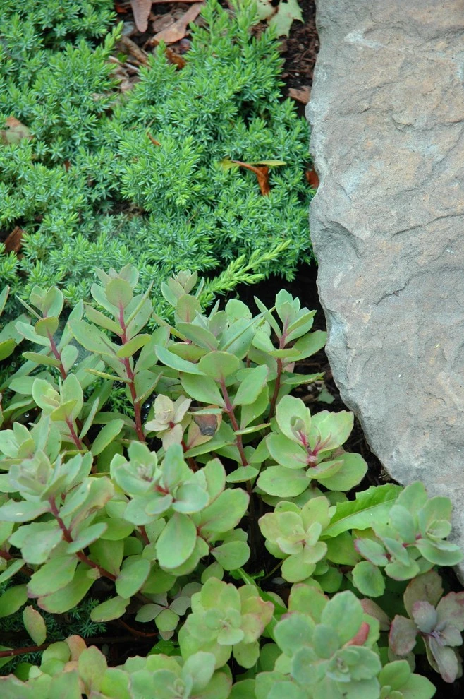 Summer Retreat by Timothy Lee Landscape Design - Photo 18
