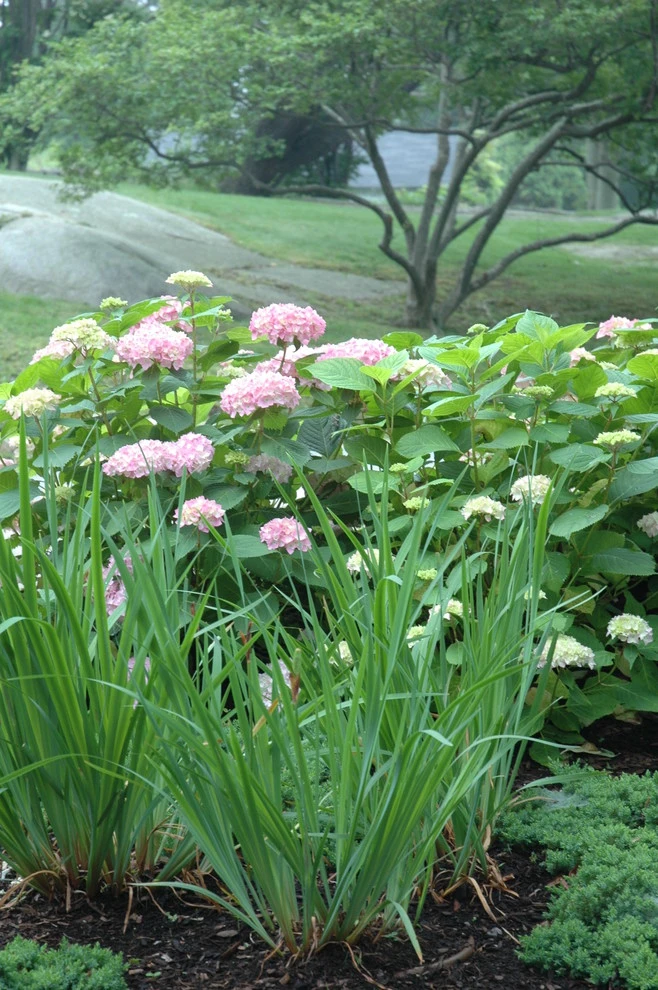 Summer Retreat by Timothy Lee Landscape Design - Photo 7