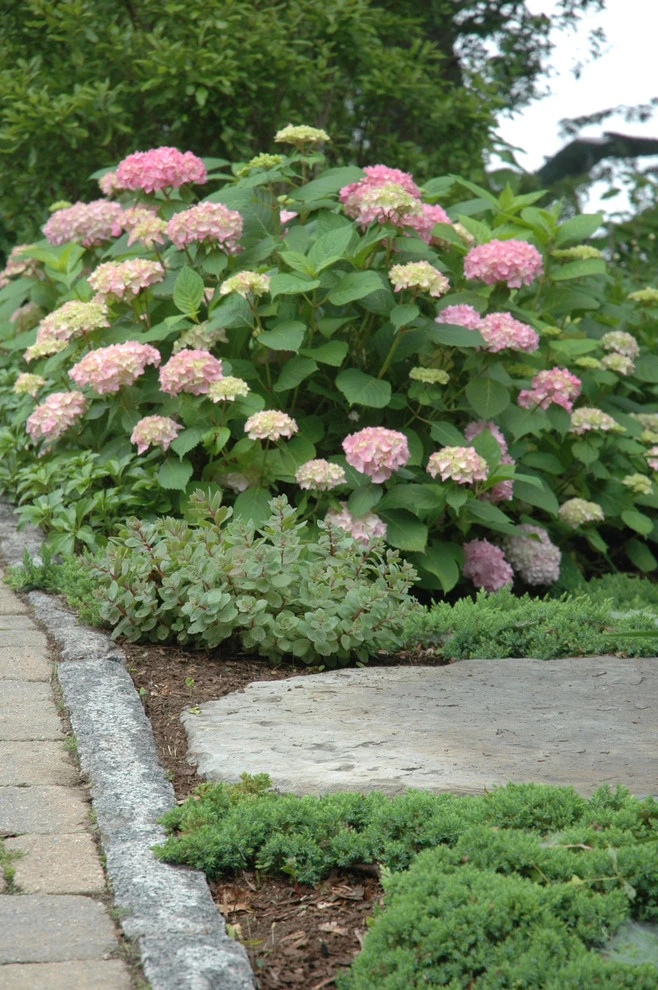 Summer Retreat by Timothy Lee Landscape Design - Photo 3