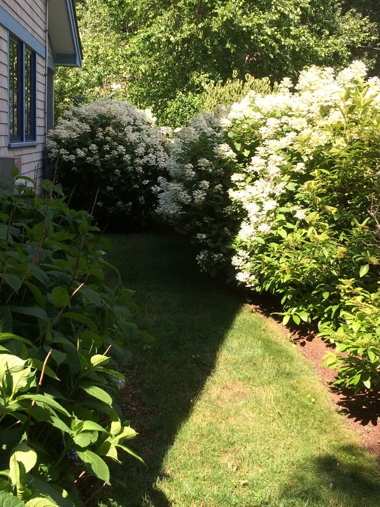 Wachusett Drive by Timothy Lee Landscape Design - Photo 12