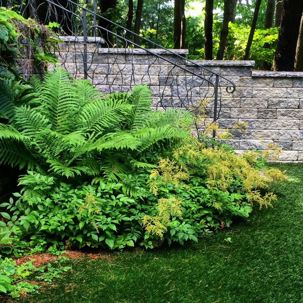 Wachusett Drive by Timothy Lee Landscape Design - Photo 3