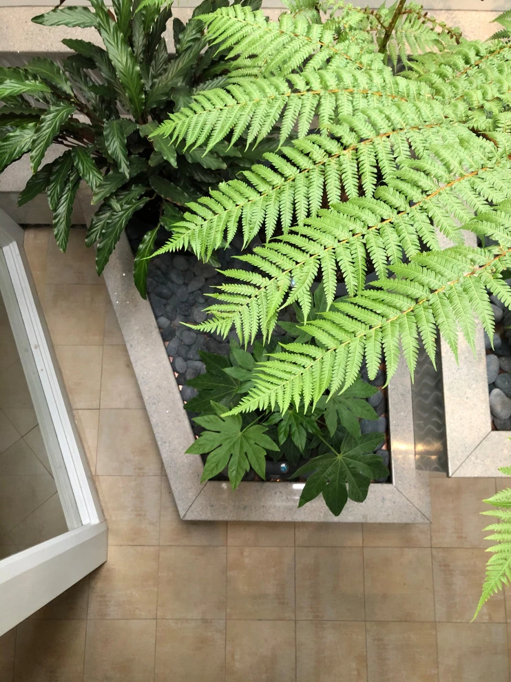 Atrium Garden by Timothy Lee Landscape Design - Photo 13