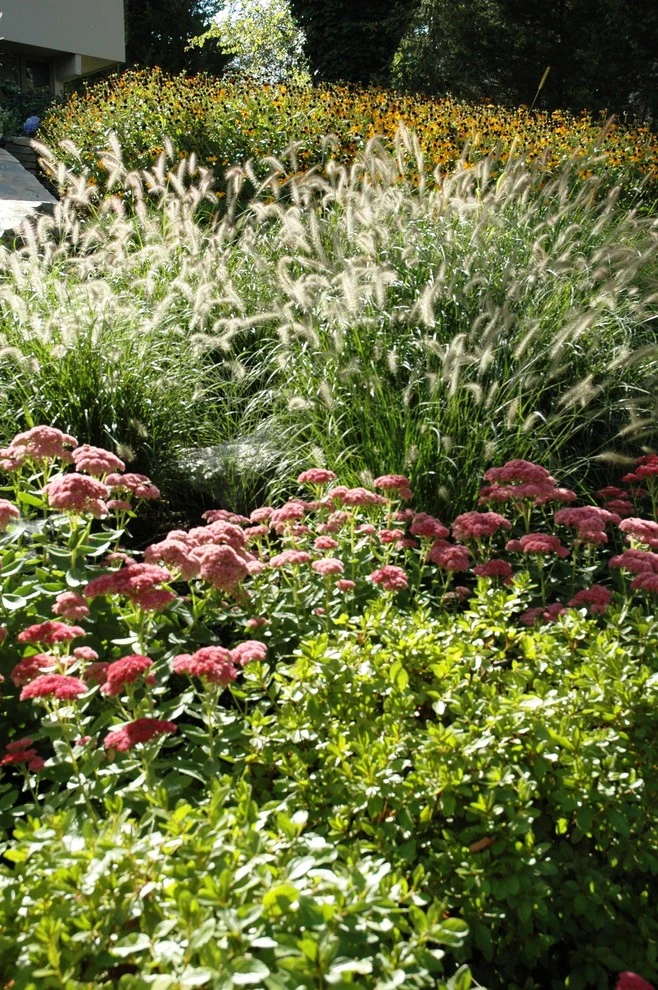 Hillside Garden by Timothy Lee Landscape Design - Photo 8