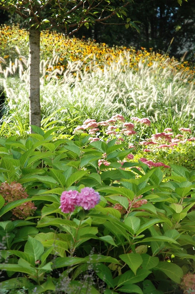 Hillside Garden by Timothy Lee Landscape Design - Photo 2