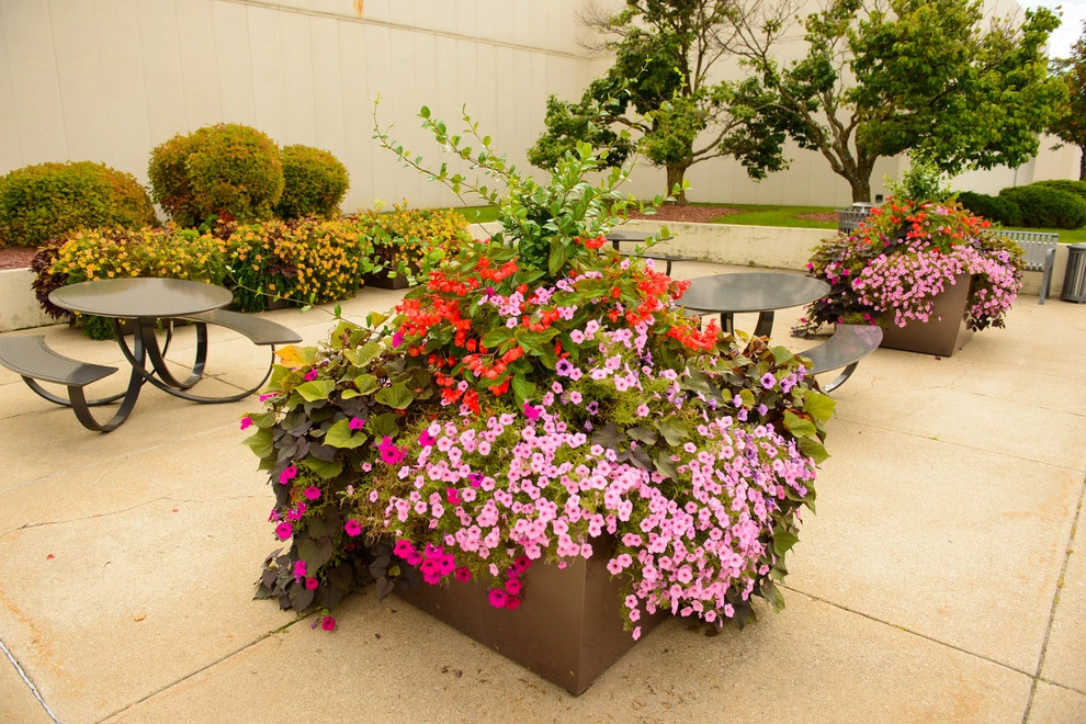 Apache Mall by Sargent's Gardens - Photo 3