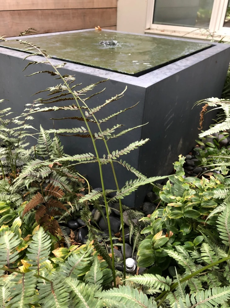 Garden for the Senses by Timothy Lee Landscape Design - Photo 3