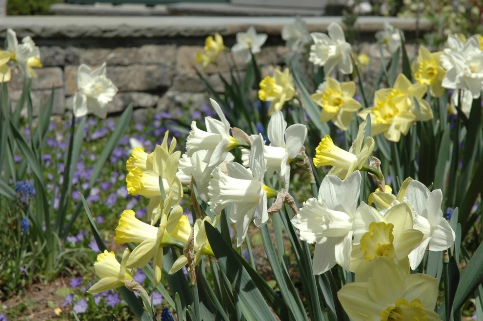 Slocum Rd. by Timothy Lee Landscape Design - Photo 21