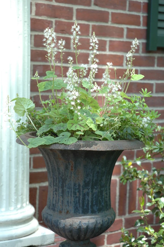 Slocum Rd. by Timothy Lee Landscape Design - Photo 25