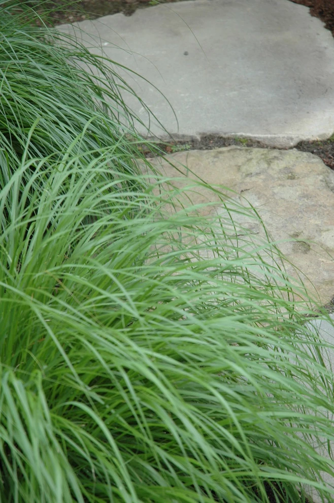 Summer Retreat by Timothy Lee Landscape Design - Photo 16
