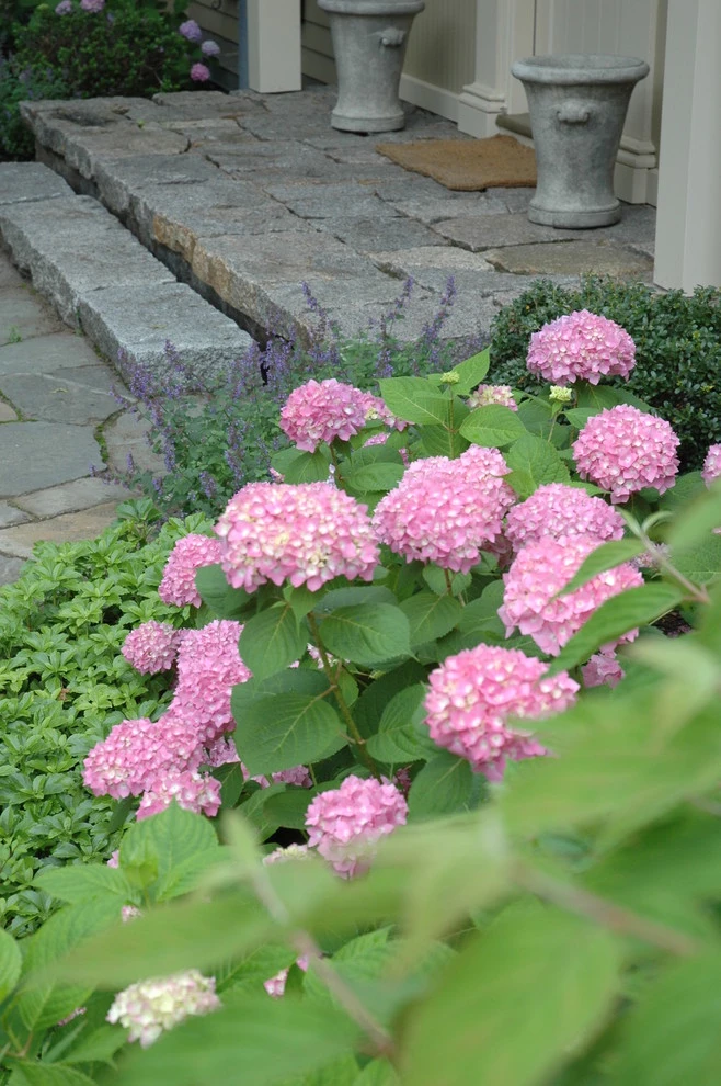 Summer Retreat by Timothy Lee Landscape Design - Photo 14