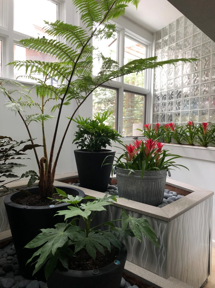 Atrium Garden by Timothy Lee Landscape Design - Photo 4