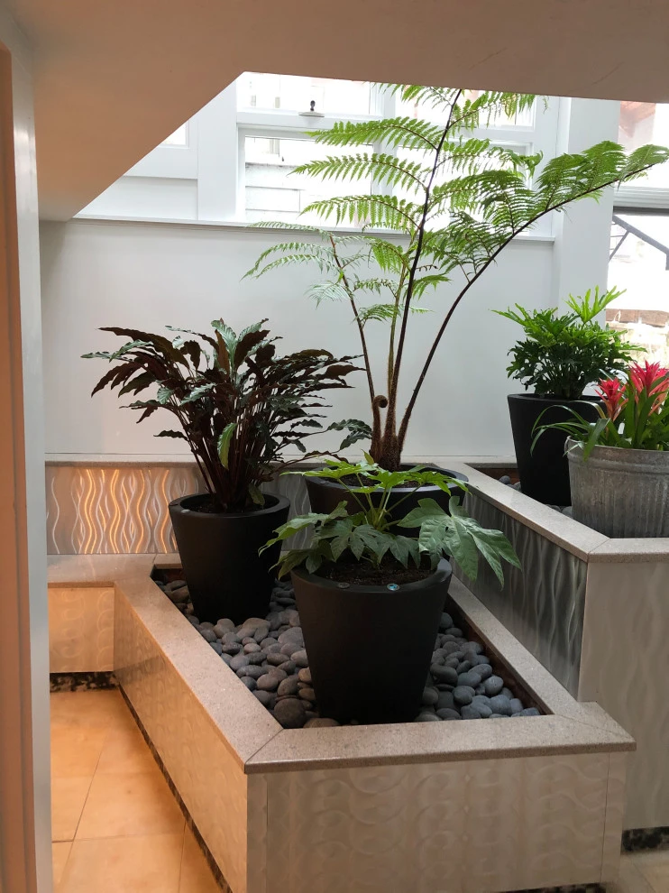 Atrium Garden by Timothy Lee Landscape Design - Photo 3