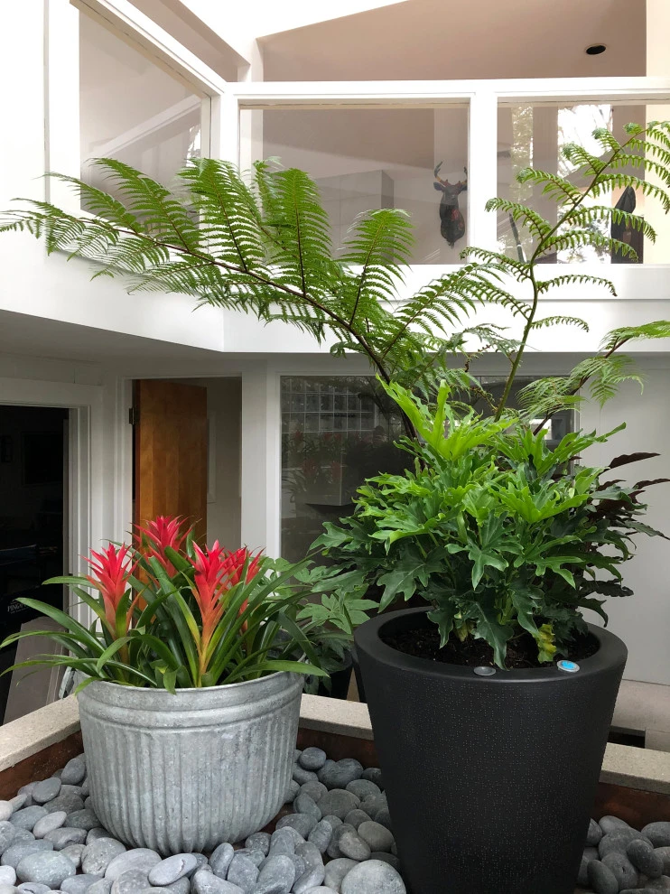 Atrium Garden by Timothy Lee Landscape Design - Photo 6