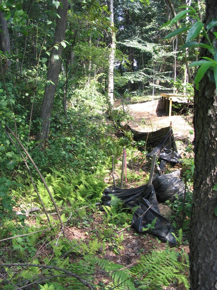 Neilish Water Garden - Branford by TJB-INC Landscape & Drainage Contractor - Photo 17