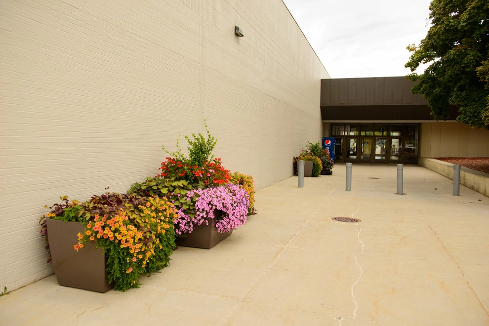 Apache Mall by Sargent's Gardens - Photo 6