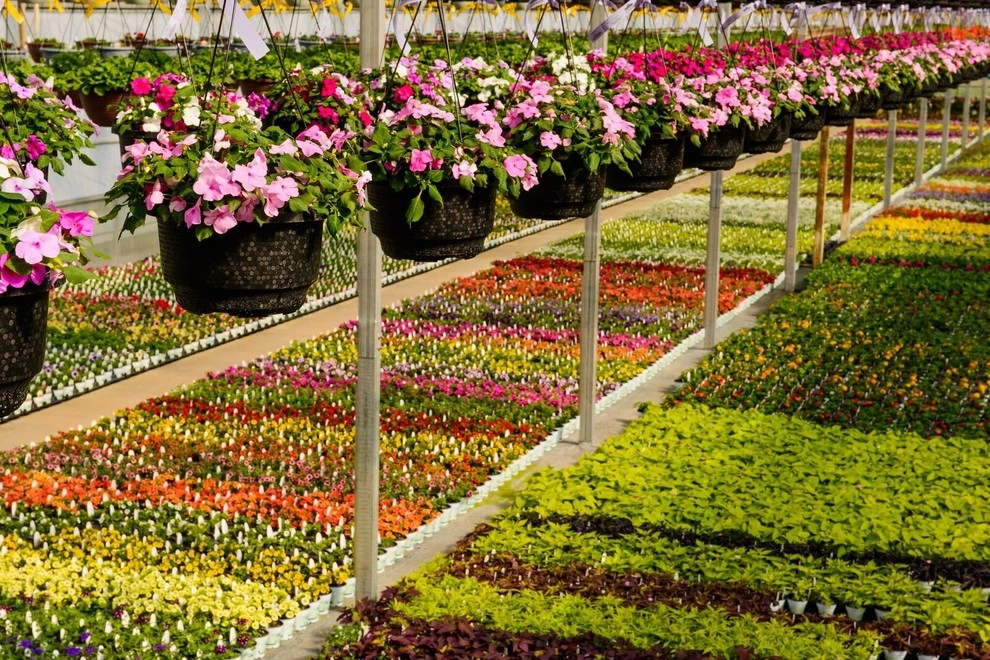 Growing Fabulous for You by Sargent's Gardens - Photo 31