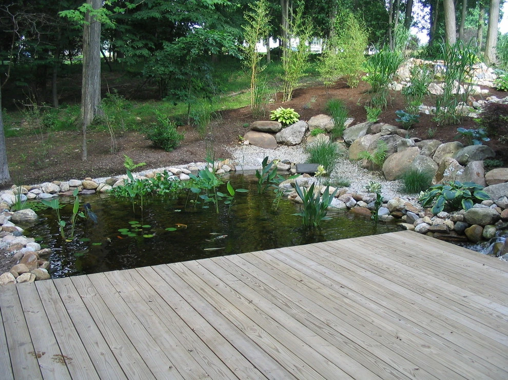 Neilish Water Garden - Branford by TJB-INC Landscape & Drainage Contractor - Photo 11