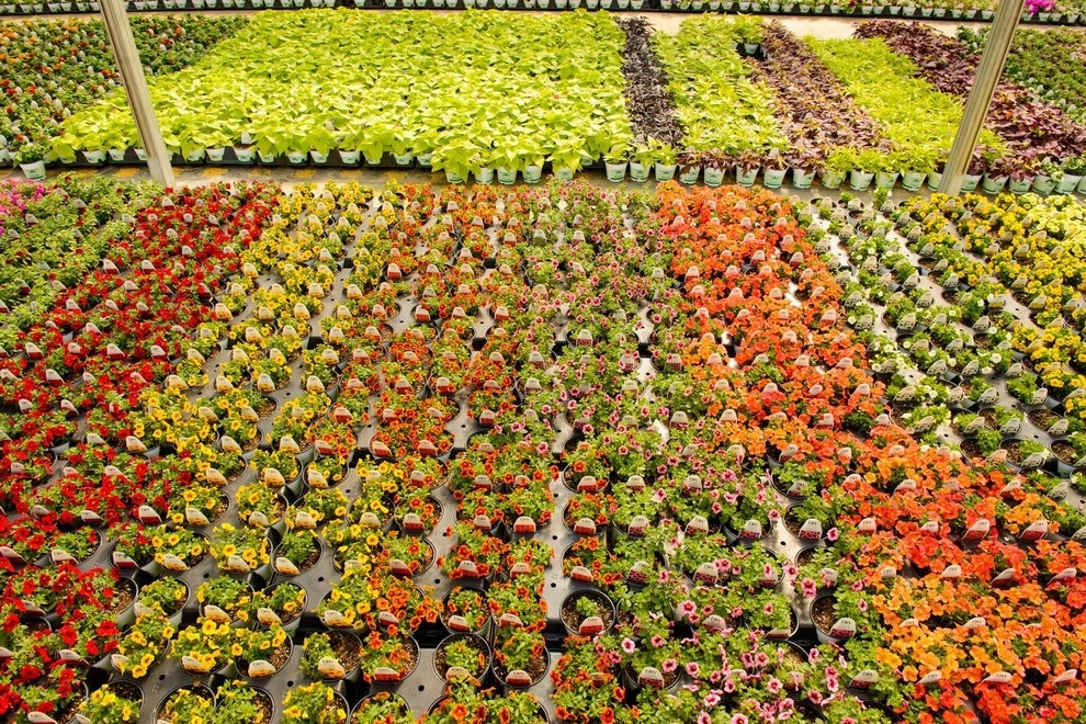 Growing Fabulous for You by Sargent's Gardens - Photo 23
