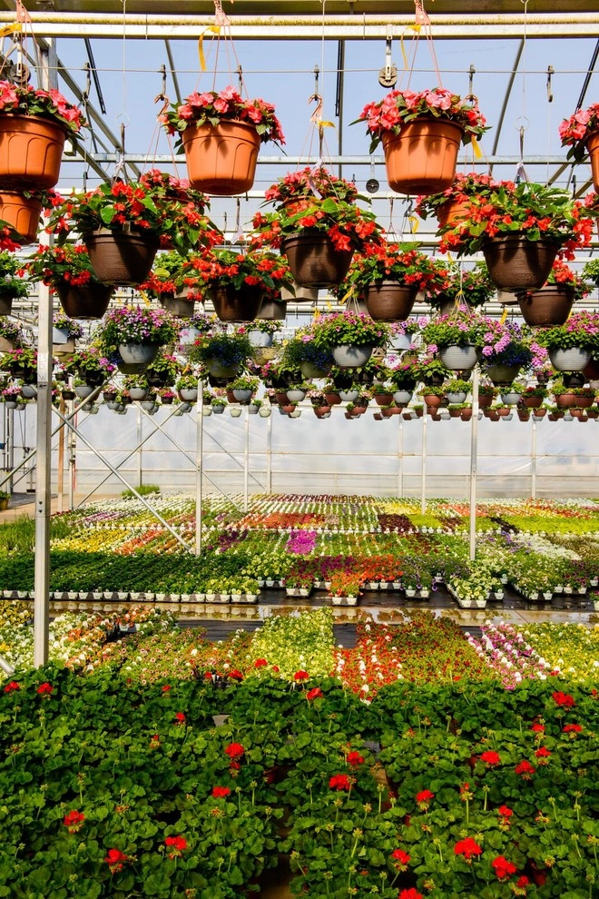 Growing Fabulous for You by Sargent's Gardens - Photo 20