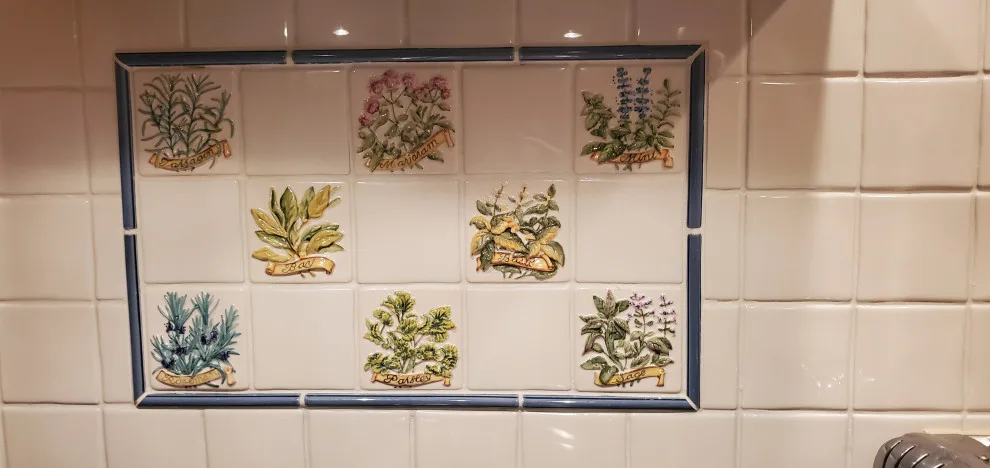 Kitchen Backsplash Renovation by Camino Verde Designs - Photo 2
