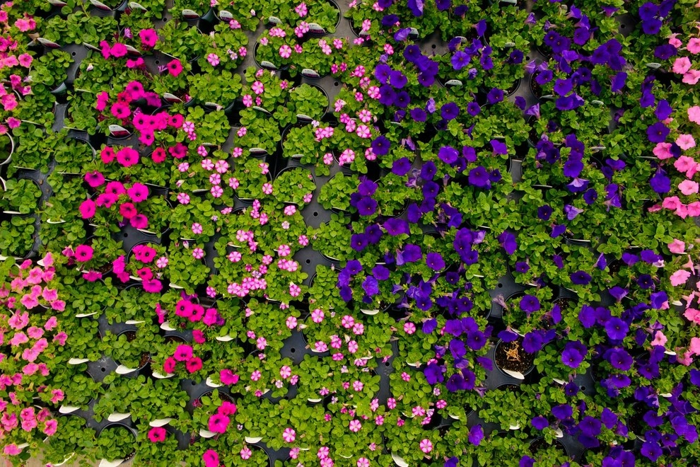 Growing Fabulous for You by Sargent's Gardens - Photo 45