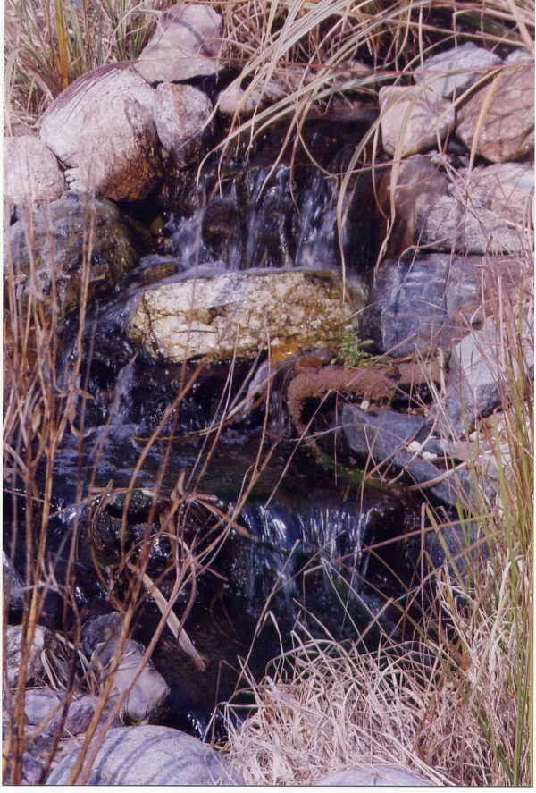 TJB-INC Landscape & Drainage Contractor - Photo 10