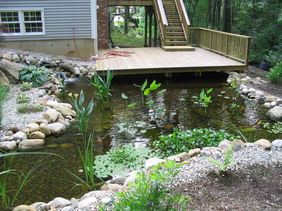Neilish Water Garden - Branford by TJB-INC Landscape & Drainage Contractor - Photo 18