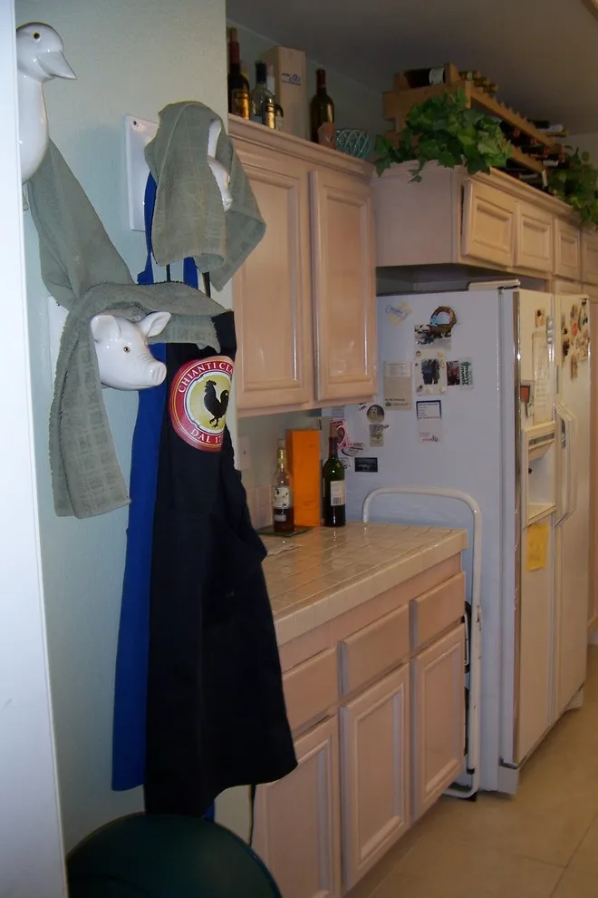 Venetian Glass-Inspired Kitchen Renovation by Gayle L Glasband Design - Photo 13