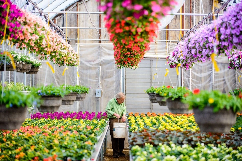 Growing Fabulous for You by Sargent's Gardens - Photo 5