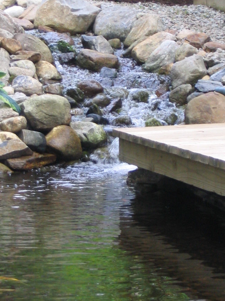 Neilish Water Garden - Branford by TJB-INC Landscape & Drainage Contractor - Photo 8