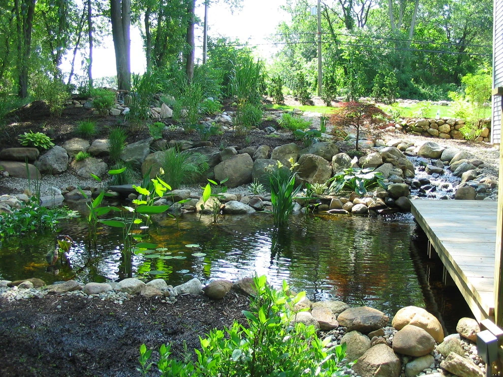 Neilish Water Garden - Branford by TJB-INC Landscape & Drainage Contractor - Photo 10