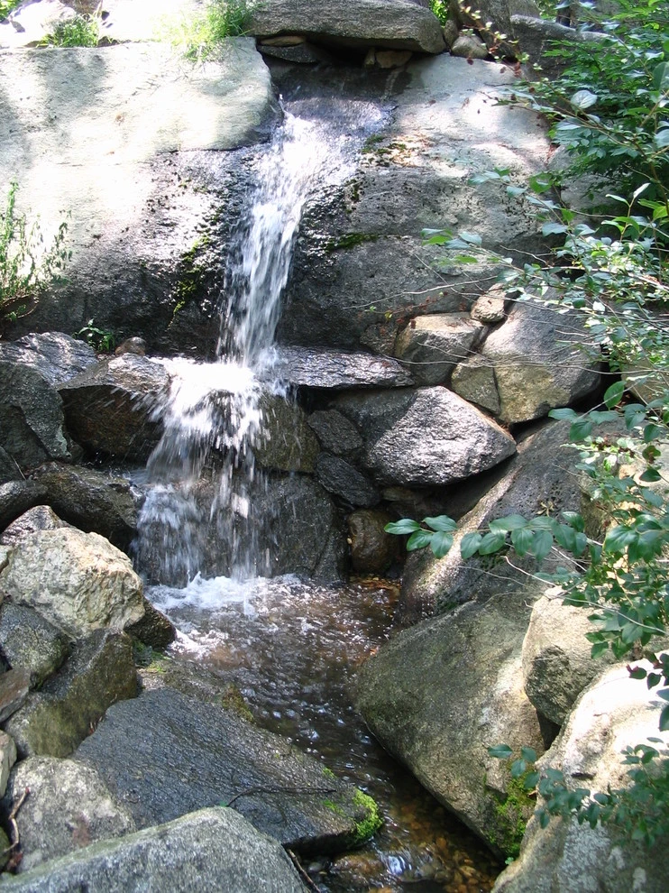 Wisecup: Huge Water Feature - Westport by TJB-INC Landscape & Drainage Contractor - Photo 7