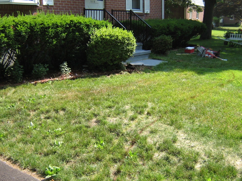Blakeslee Ave - Walkway - North Haven by TJB-INC Landscape & Drainage Contractor - Photo 9