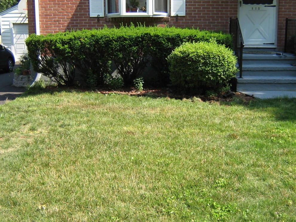 Blakeslee Ave - Walkway - North Haven by TJB-INC Landscape & Drainage Contractor - Photo 5