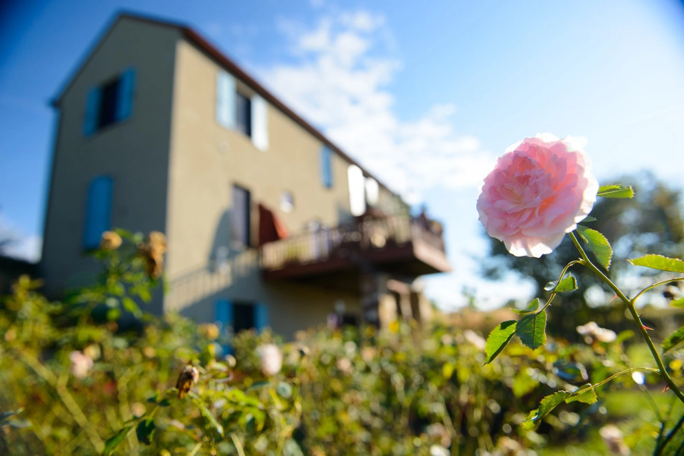 A Touch of Tuscany by Sargent's Gardens - Photo 10