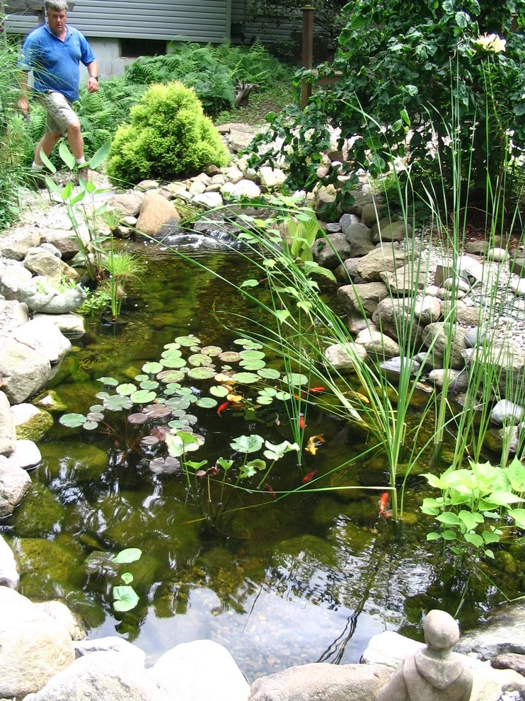 West Woods Rd Pond & Stream - Hamden by TJB-INC Landscape & Drainage Contractor - Photo 3