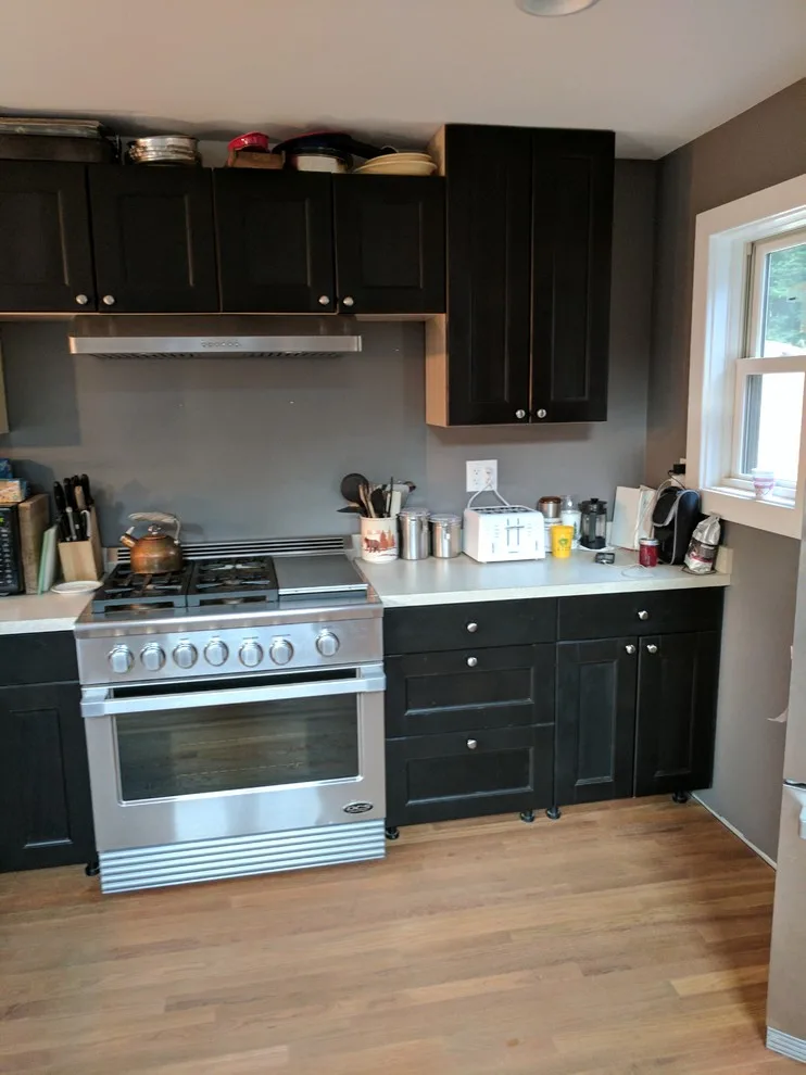 Carlisle, PA Midcentury Modern Kitchen by Stacey Kocevar Designs, LLC - Photo 4