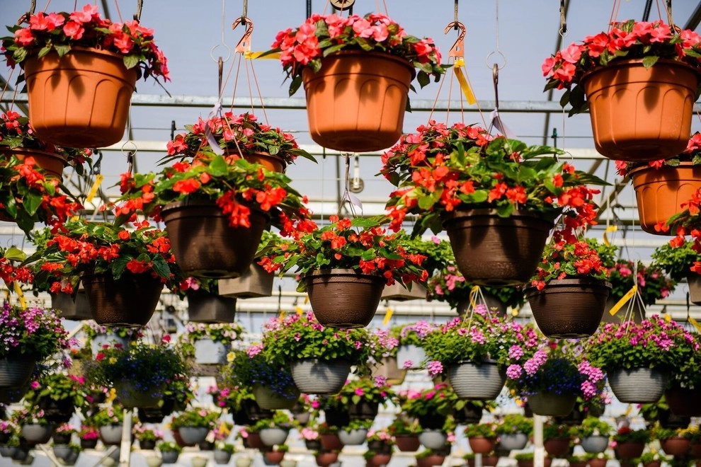 Growing Fabulous for You by Sargent's Gardens - Photo 11