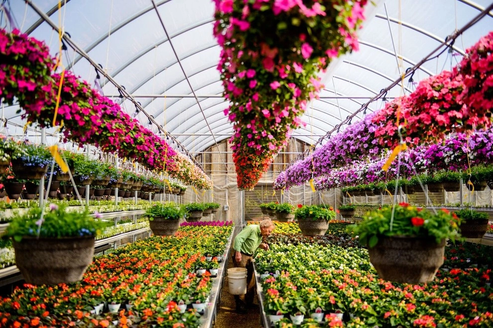 Growing Fabulous for You by Sargent's Gardens - Photo 19