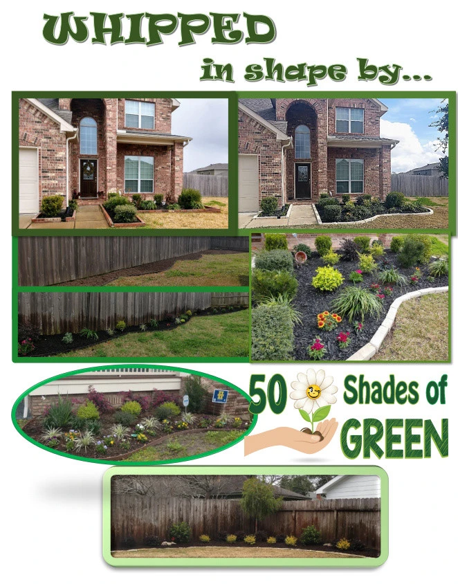 50 Shades Of Green - Photo 12