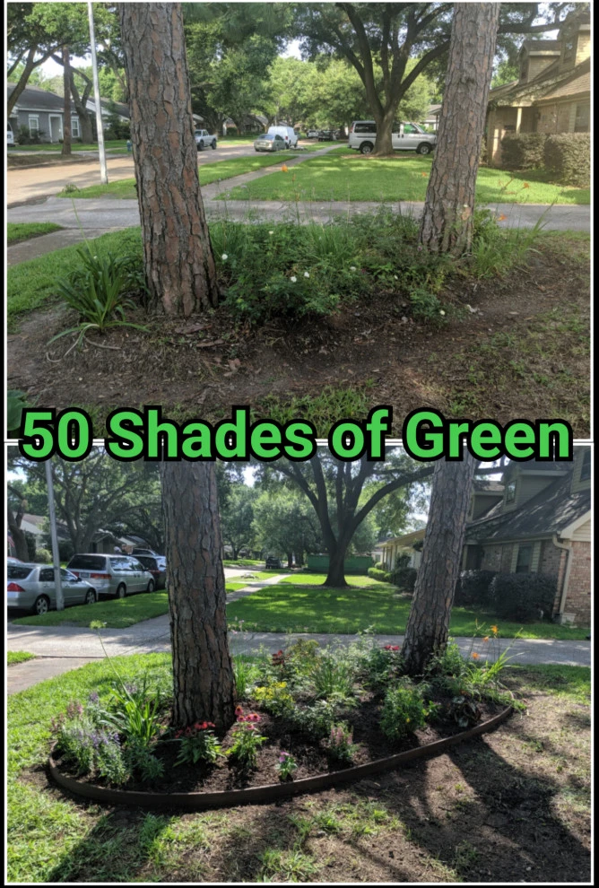 Maplewood by 50 Shades Of Green - Photo 2