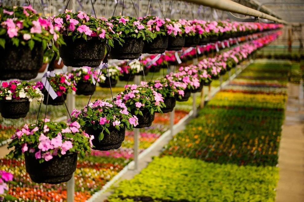 Growing Fabulous for You by Sargent's Gardens - Photo 33