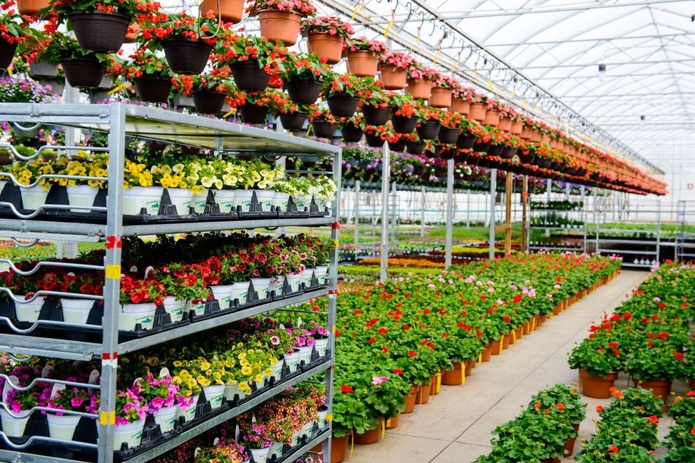 Growing Fabulous for You by Sargent's Gardens - Photo 48