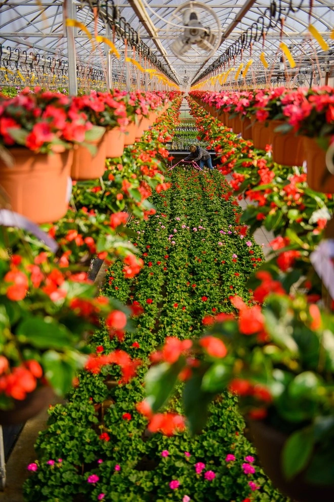 Growing Fabulous for You by Sargent's Gardens - Photo 9