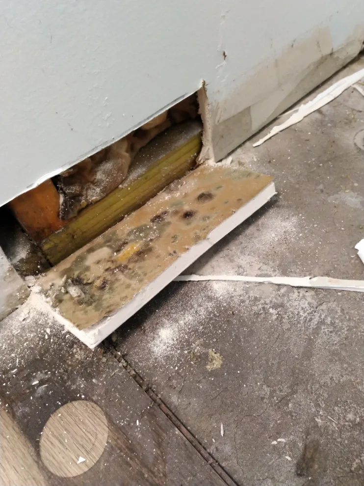 Workspace Revamp by Household Of Faith Services Llc - Photo 3