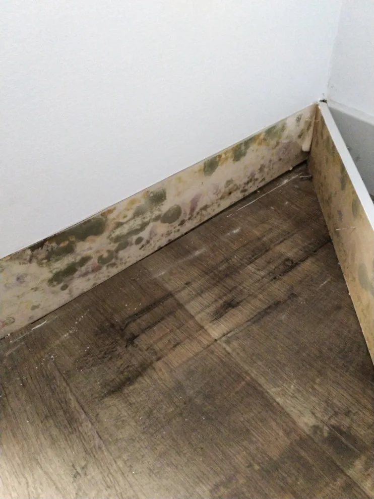 Workspace Revamp by Household Of Faith Services Llc - Photo 13