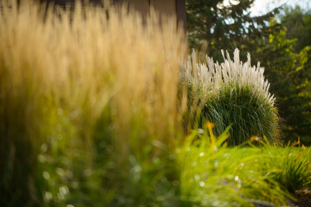 Raffle by Sargent's Gardens - Photo 3