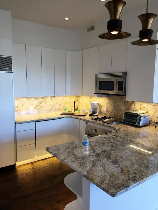 Total Makeover - 1855 North Halstead by Jay Dawes Construction LLC. - Photo 4